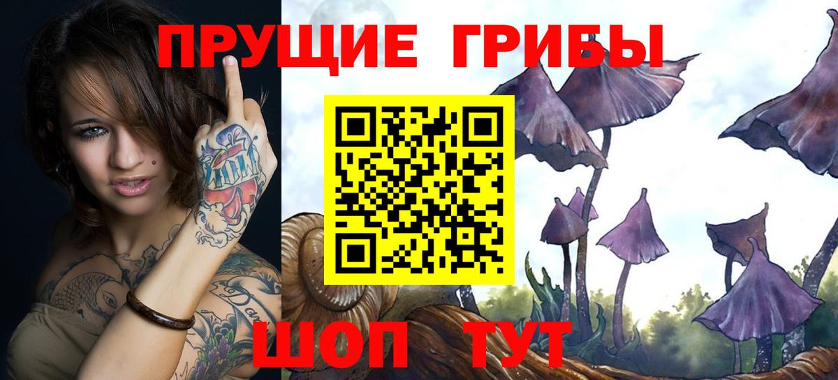 Псилоцибиновые грибы Cubensis  Вход с VPN  Псилоцибиновые грибы Psilocybe  магазин продажи   Чебаркуль 